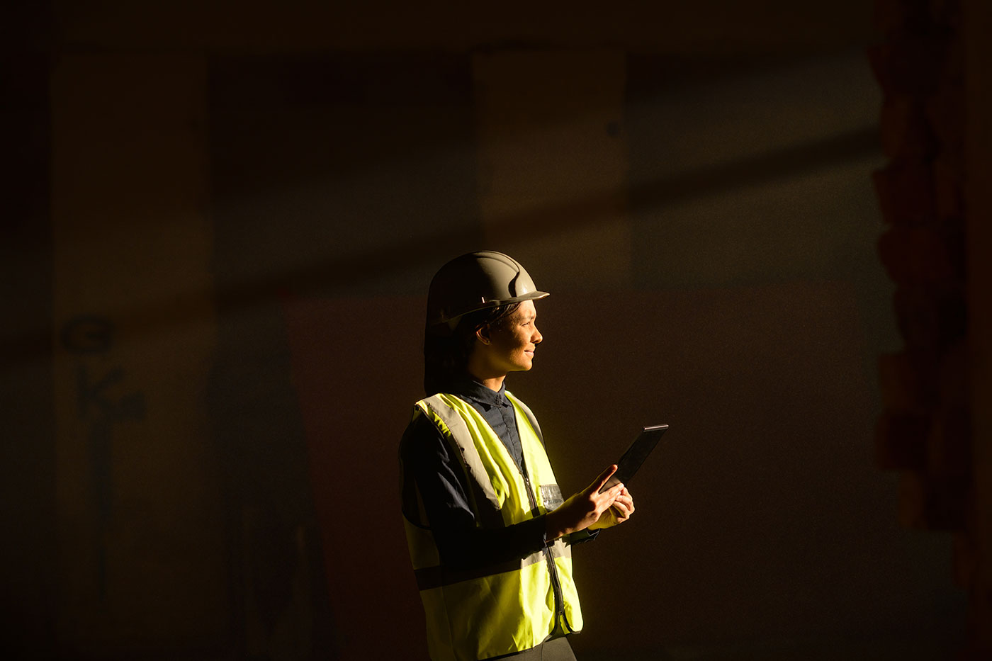 profesional del sector